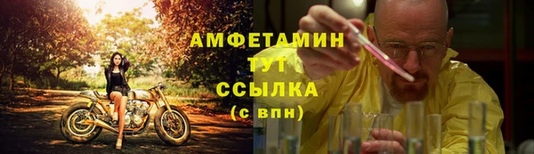 стафф Алзамай