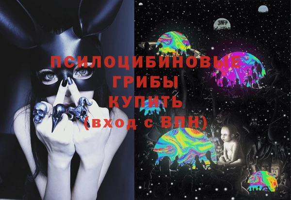 стафф Алзамай