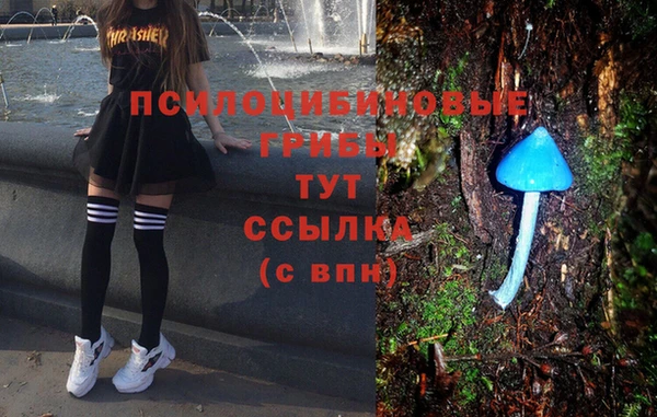 мяу мяу мука Алексин