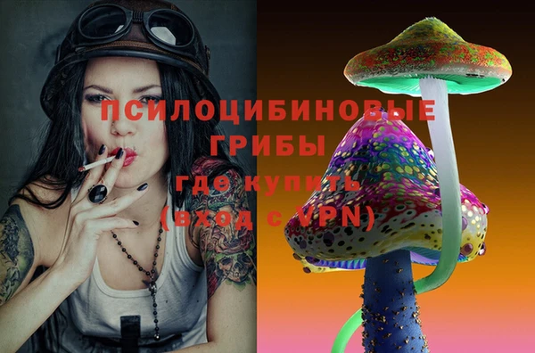 крисы Алексеевка