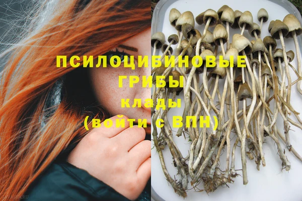 мяу мяу мука Алексин