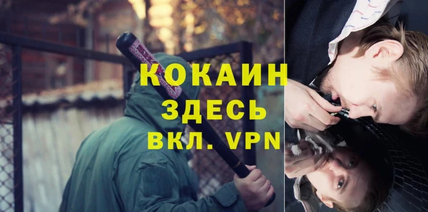 крисы Алексеевка